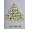 Good Quality Chinese Medium White Kidney Bean